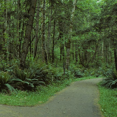 Washington Department of Fish and Wildlife saves money with Avaya