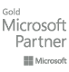 gold microsoft partner