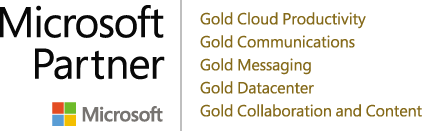 Microsoft Gold Partner Logo.